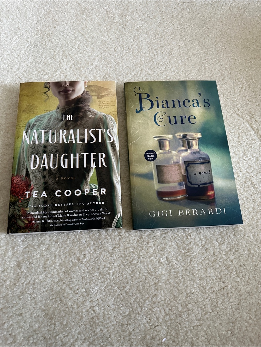 Historical Fiction book bundle